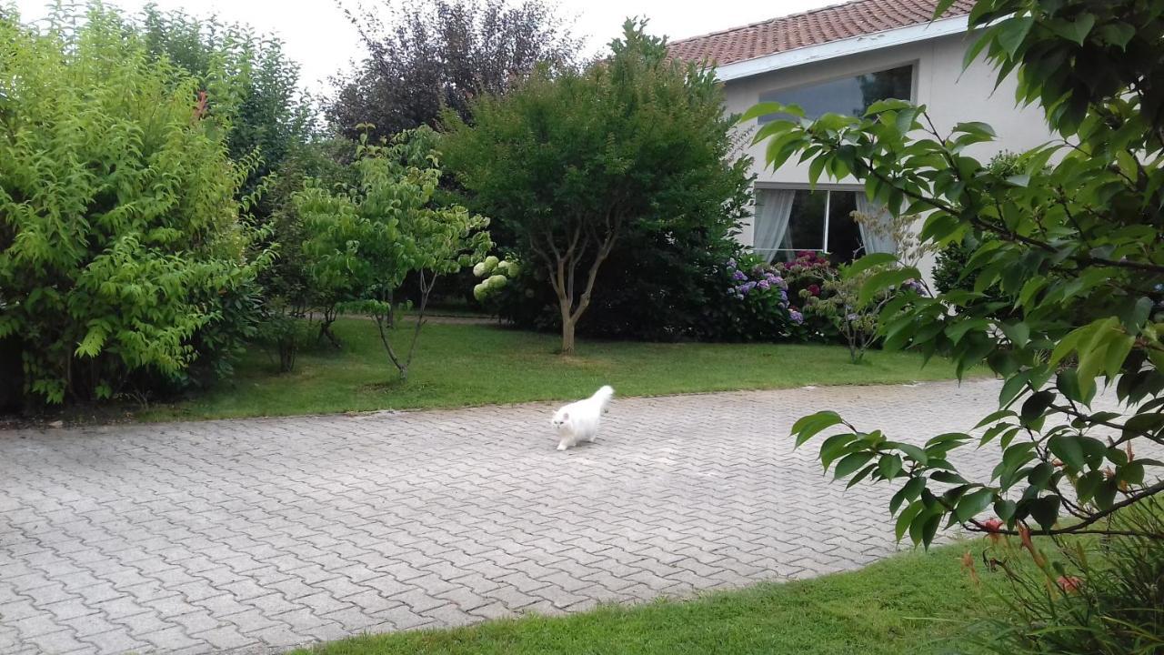 Le Jardin De Nemo Panzió Biscarrosse Kültér fotó