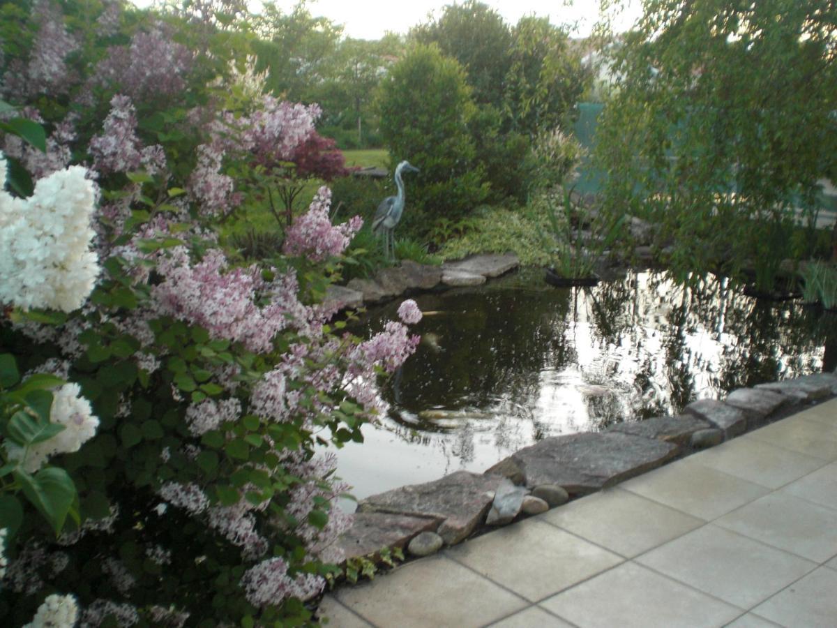Le Jardin De Nemo Panzió Biscarrosse Kültér fotó
